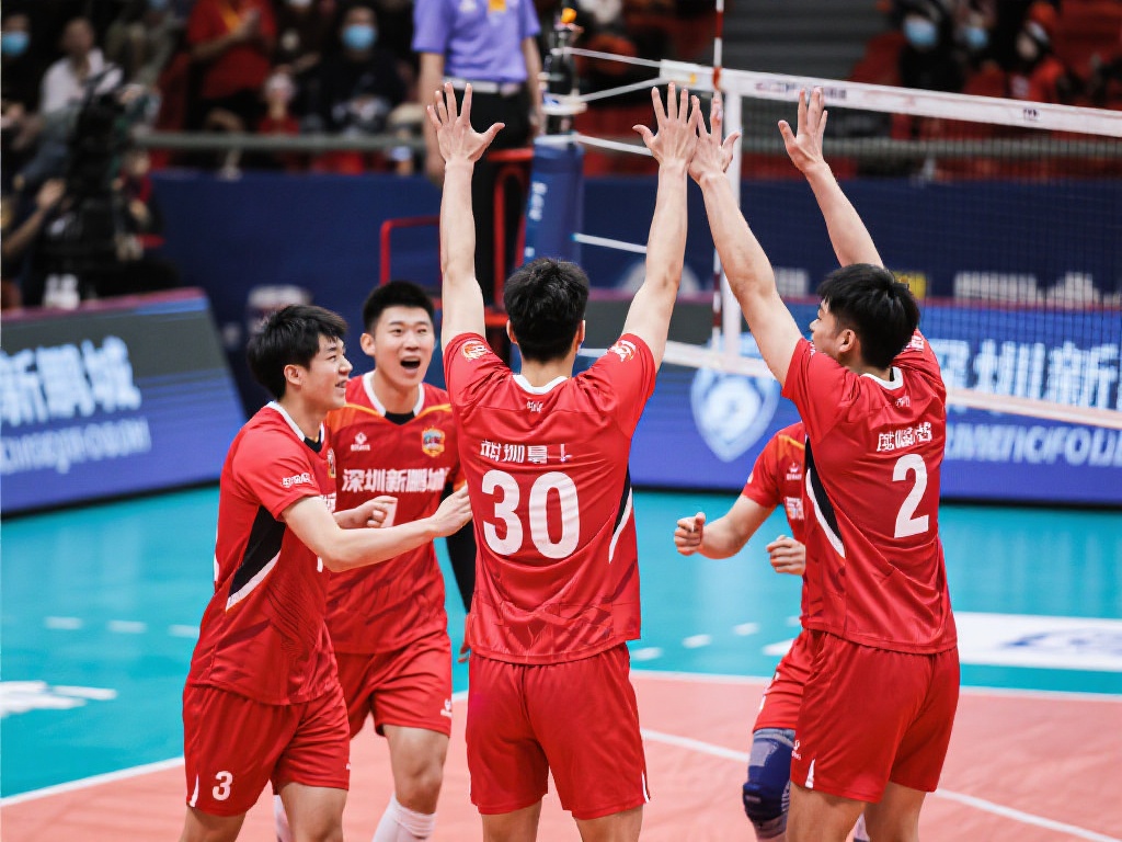 中锋替补能 中锋替补能